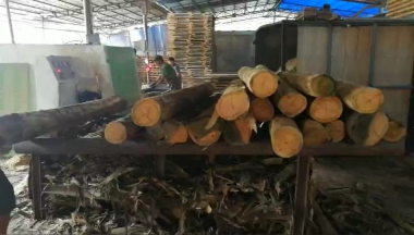 圓木多片鋸加工效率下降？多片鋸開機(jī)檢查3個(gè)地方