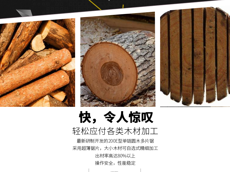 圓木多片鋸細節(jié)圖